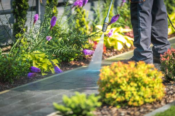 Reliable Temple, GA Pressure Washing Services Solutions